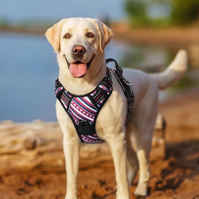 rabbitgoo Dog Harness No Pull with 2 Leash Clips, Adjustable Soft Padded, Reflective Oxford No Choke Pet Vest with Easy Control Handle for Large Dogs, Red Stripe, M