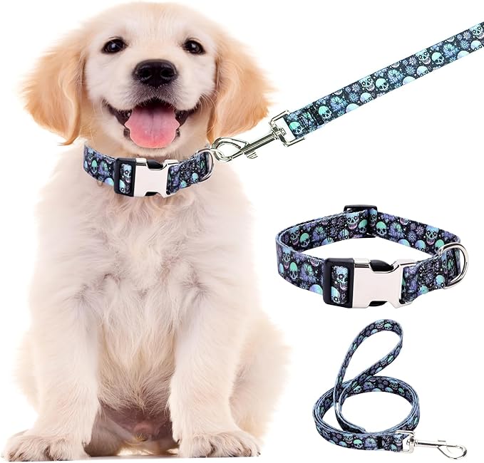 Puppy Collar and Leash Set, Pretty Design Print Purple Skull Pet Collars for Small Medium Large Breed Male Dogs Boys Cats, XS