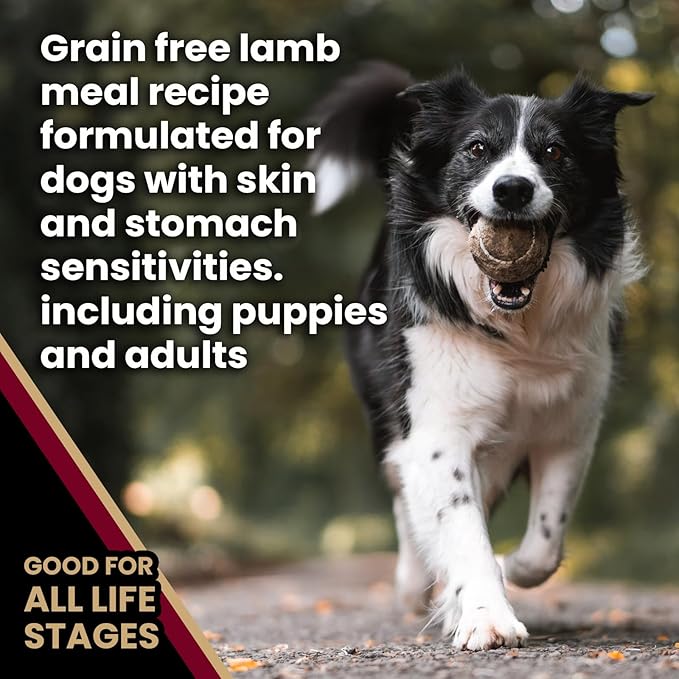 VICTOR Super Premium Dog Food— Sensitive Skin and Stomach— Grain Free Lamb Meal and Sweet Potato Recipe Dry Kibble— Gluten Free, No Chicken, Ideal for Dogs with Allergies — Adult and Puppy Food, 15 lb