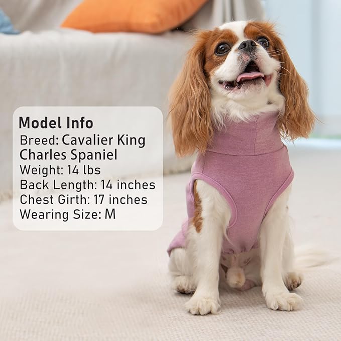 KYEESE 2Pack Dog Sweater Soft Dogs Clothes Warm Pets Clothes Turtleneck Pets Coats Dog Sweaters for Small Dogs Girl Pullover Small Pet Sweaters Stretchy Pet Sweatshirt