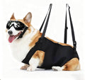Dog Lift Harness for Hind Legs, Walking Support Sling with Ergonomic Handle, Adjustable Pet Rehabilitation Harness for Senior Dogs, Disabled Dogs, and Mobility Assistance(L(36-55) pounds)