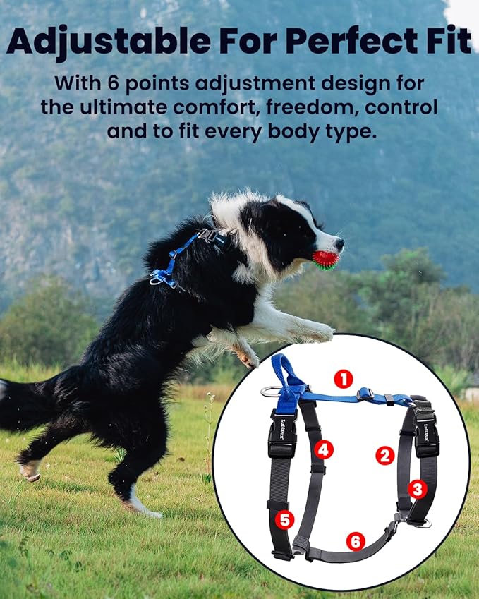 Non-Restrictive No-Pull Dog Harness, Neck Buckle Desgin, Easy Walk Freedom Harness Keep Balance, Six Points Adjustment, for Medium Dog Chest(21-30 inches), Blue/Black