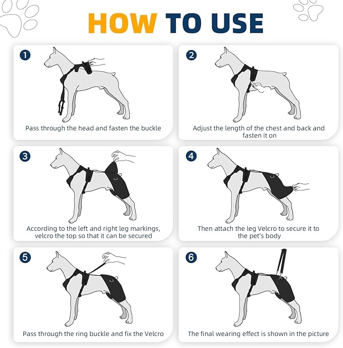 CHAMIN Dog Hip Brace with Back Handheld Design, Support for Hip Dysplasia, Arthritis, Back Leg limping, Reduce Hip Pain & Accelerated Recovery After Surgery etc(Extra Large)