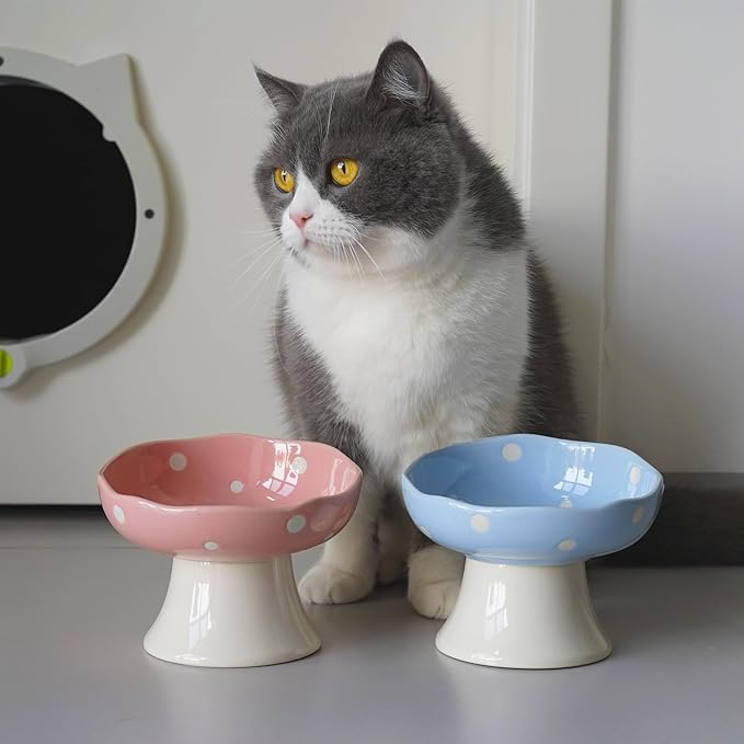 Ceramic Raised Cat Bowl, Mushroom Shaped Tilted Feeding Dish, Whisker Friendly Wide Design, Dishwasher Safe for Indoor Cats