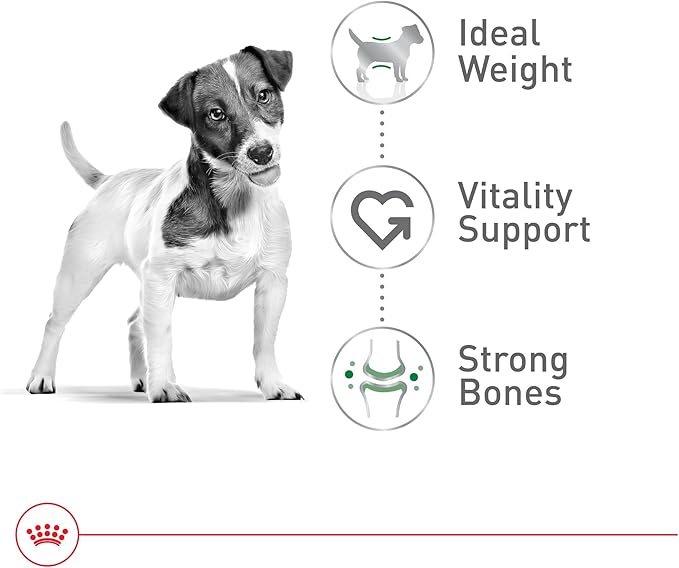 Royal Canin Size Health Nutrition Small 8+ Senior Dry Dog Food, 2.5 lb Bag