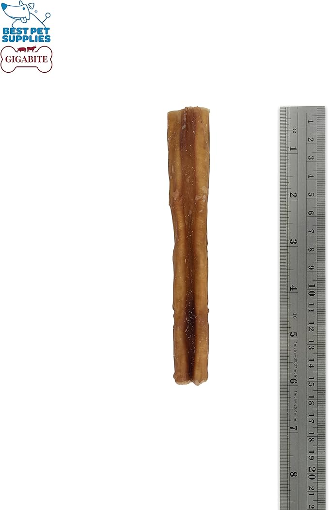 GigaBite Bully Sticks for Dogs All Natural Beef Pizzle Dog Chews, Odor & Rawhide Free Dog Treats, Long Lasting High Protein Chews Digestible Dental Dog Treat - Sticks (Premium 6"), Pack of 8