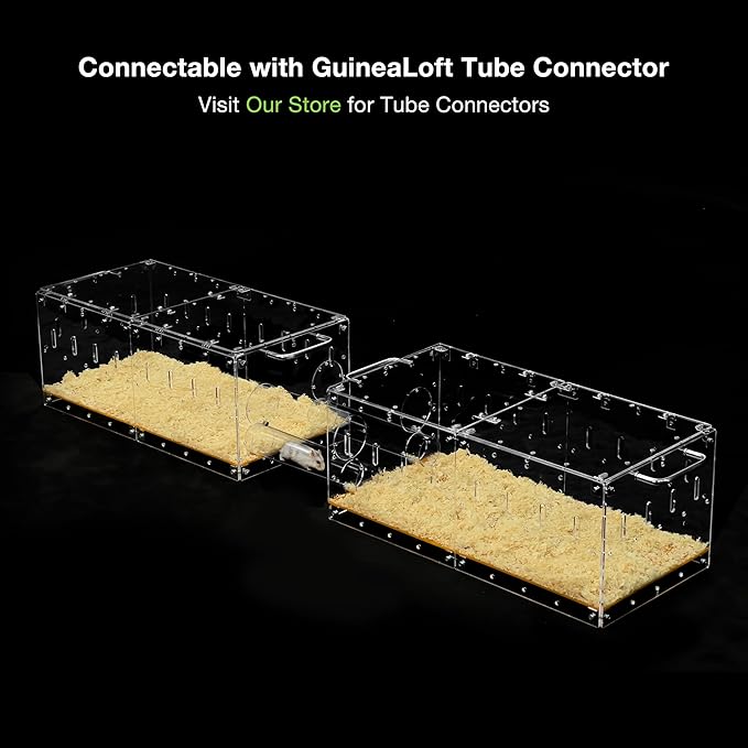 GuineaLoft™ Acrylic Cage (Model-P3B) - Small 2x1 ft Enclosed w/Lid & Bottom for Hamsters, Rats, Mice, Gerbils, Also Works for a Single Guinea Pig, or as a Transport Cage