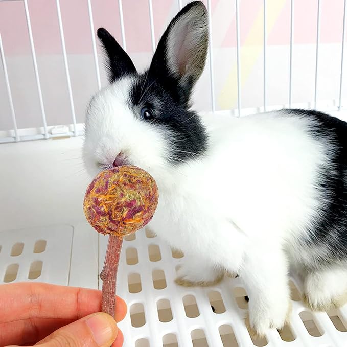 balacoo Rabbit Toys Teething Toys 10pcs Rabbit Chewing Stick Bunny Lollipops Teeth Care Toy Pet Teeth Bite Rod Treats Hamster Guinea Pig Herbage Sticks (Random Color) Bunny