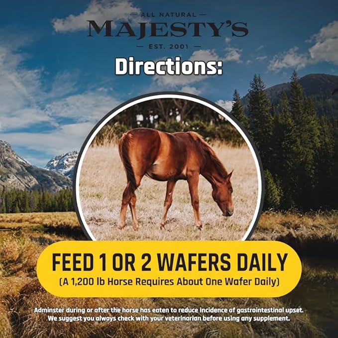 Majesty's Flex HA Wafers - Superior Performance Horse/Equine Joint Support Supplement - HA, Vitamin C, Yucca, Glucosamine (Peppermint, 60 Count)