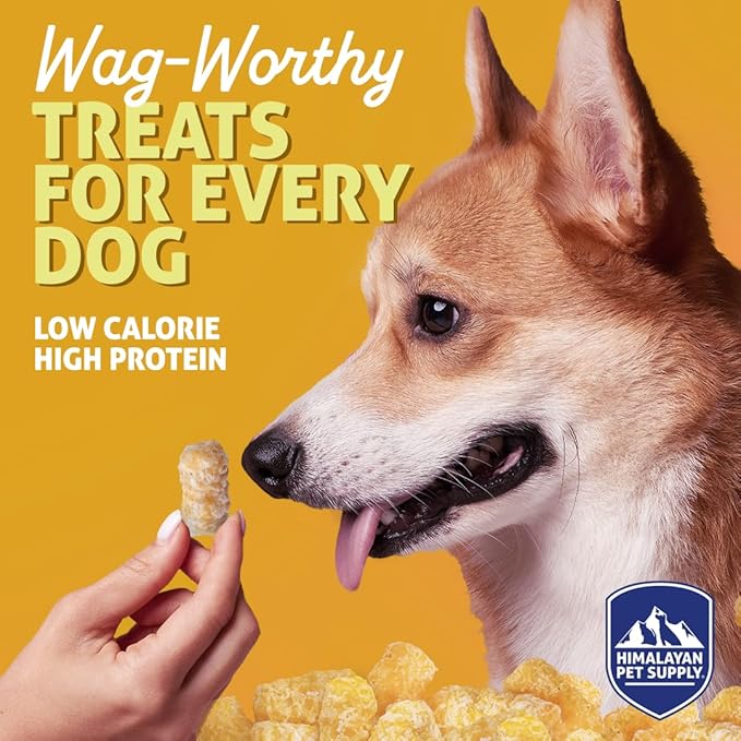 Barkeetos Dog Treats, Crunchy and Cheesy Pet Snacks Made with Real Himalayan Cheese, Gluten Free, Grain Free, Lactose Free, Natural Dog Food for All Breeds and Sizes - 3 Pack