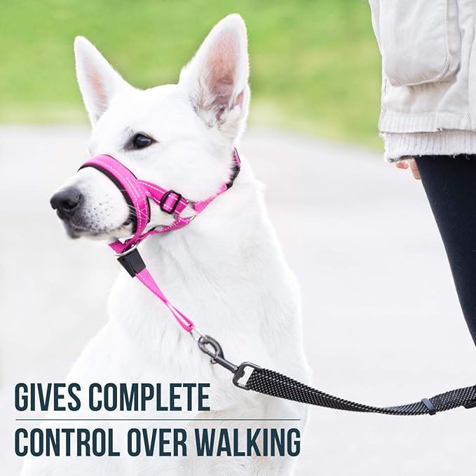 GoodBoy Dog Head Halter with Safety Strap - Stops Heavy Pulling On The Leash - Padded Headcollar for Small Medium and Large Dog Sizes - Head Collar Training Guide Included (Size 3, Pink Nylon)