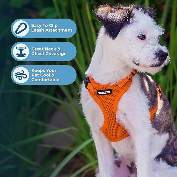 Best Pet Supplies Voyager Step-in Lock Pet Harness w Reflective Pet Leash Combo Set with Neoprene Handle 5ft - Supports Small, Medium and Large Breed Puppies/Cats - Orange, XS
