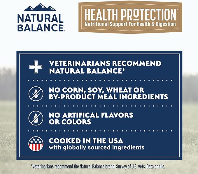 Natural Balance Health Protection Wet Dog Food - Whole Body Health, Easy on Digestion, Salmon Broth, Salmon, Pumpkin & Brown Rice Stew, Digestive Wellness Dog Food, High in Fiber - 12.5oz (Case of 6)