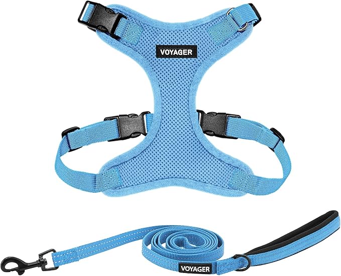 Best Pet Supplies Voyager Step-in Lock Pet Harness w Reflective Pet Leash Combo Set with Neoprene Handle 5ft - Supports Small, Medium and Large Breed Puppies/Cats - Baby Blue Set, M