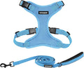 Best Pet Supplies Voyager Step-in Lock Pet Harness w Reflective Pet Leash Combo Set with Neoprene Handle 5ft - Supports Small, Medium and Large Breed Puppies/Cats - Baby Blue, XS