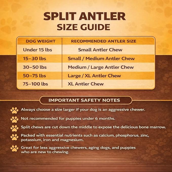 Whitetail Naturals Split Elk Antler Dog Chews (6 Pack, Small) Long-Lasting Bones for Aggressive Chewers, Odor-Free Half-Cut Elk Antlers for Dogs