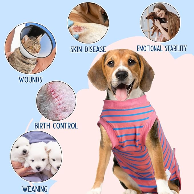 Dog Surgery Recovery Suit, Recovery Shirt for Male Female Dog Cats, Cone E-Collar Alternative Abdominal Wounds Spay Bandages Onesie, Anti-Licking Pet Surgical Recovery Suit,Pink Medium