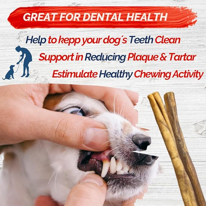 Natural Collagen Sticks for Dogs 5 Pack - 12 Inches – Long-Lasting Alternative to Bully Sticks, Rawhide-Free Collagen Chews w/Chondroitin & Glucosamine for Joint Support & Dental Health
