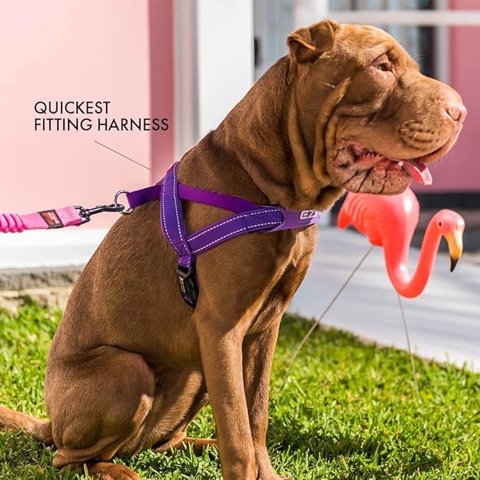 EzyDog Quick Fit Dog Harness – No Pull Harness for Training, Everyday Walking, and Easy Control - Adjustable Fit, Reflective, and Padded (Large, Red)