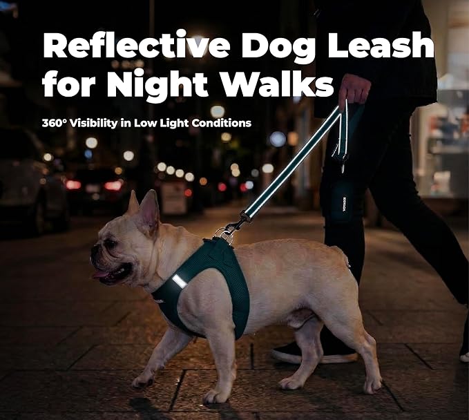 Best Pet Supplies Voyager Reflective Dog Leash or Collar with Neoprene Handle, for Small, Medium, and Large Breed Puppies, Cute and Heavy Duty for Walking, Running and Training - Blue (Leash), S