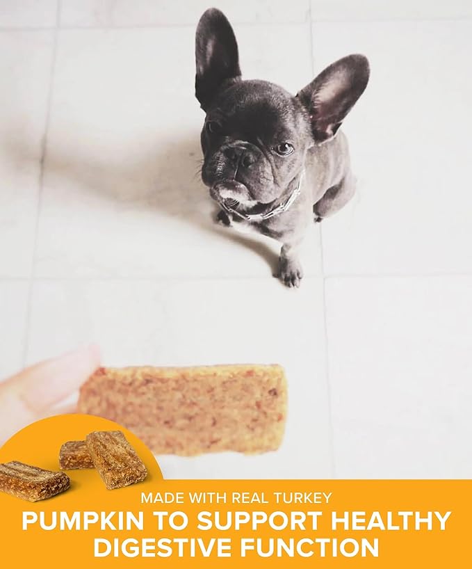 PLATO Pet Treats Real Strips Dog Treats – Turkey & Pumpkin – Air-Dried High Protein Dog Treats – Supports Immunity & Gut Health – Limited Ingredient, No Fillers – Made in USA – 6 oz