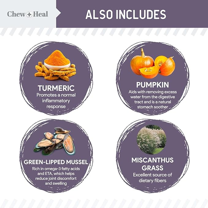 Chew + Heal Labs Seniors Soft Jerky Salmon Dog Treats - 12 oz of Omega Jerky - Dog Joint Supplement with Wild Alaskan Salmon and Turmeric - Made in the USA