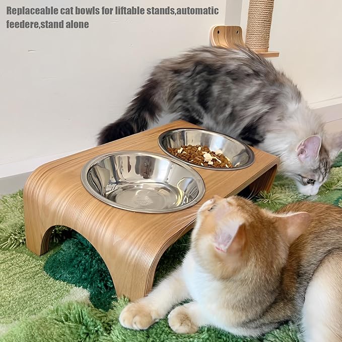 Stainless Steel Cat Bowls, Whisker Friendly Shallow Cat Food Bowls, Small Metal Pet Dish for Kittens and Indoor Cats, Basic Replacement Plates for Elevated Feeder Stands (5.5in-8Pcs)