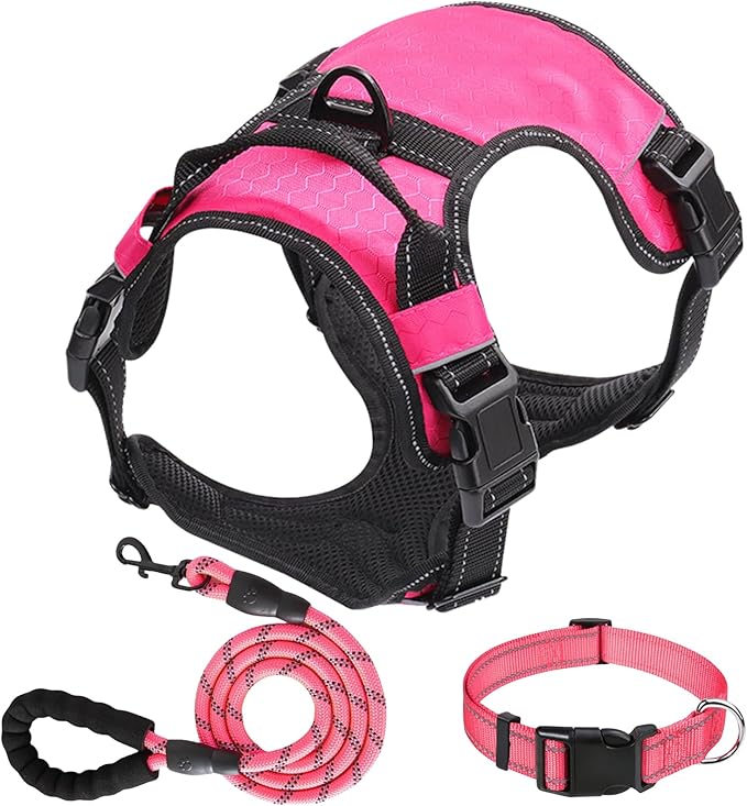 Dog Harness Set, No Pull Dog Vest Harness and 5ft Leash & Collar for Small Medium Sized Large Dog Cat,Adjustable Soft Nylon Padded Dog Vest Reflective Front Clip Vest with Easy Handle -Pink S