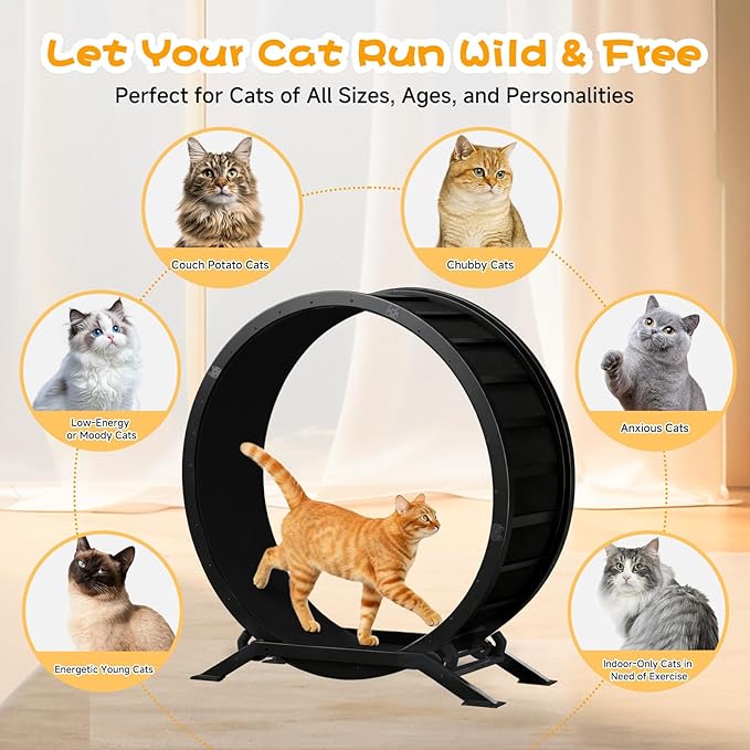 GTRACING Cat Wheels, 40" Diameter, Large Cat Exercise Wheel for Indoor Cats cat Treadmill Metal with Detachable Black Carpet & Teaser/Stickers, Ultra-Quiet Scroll Wheel with Latch, Safe and Stable