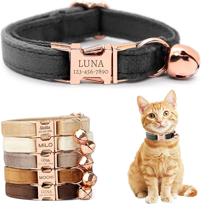 Personalized Non-Breakaway Cat Collar with Name, Luxury Soft Velvet Custom Engraved Name Collar with Bell for Kittens & Cats (Charcoal, S (6.5-10.5 inches))