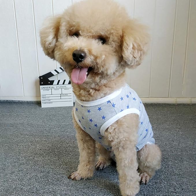 Dog’s Recovery Suit Post Surgery Shirt for Puppy, Wound Protective Clothes for Little Animals(Grey Stars-xs)
