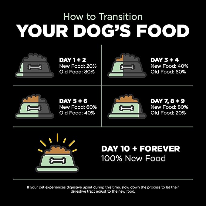 Go! Solutions Skin + Coat Care Turkey Dry Dog Food with Grains, Chicken-Free, Healthy Kibble with Omega-3s & 6s for Soft, Shiny Fur, for Puppies, Adults, & Seniors, 22 lb Bag