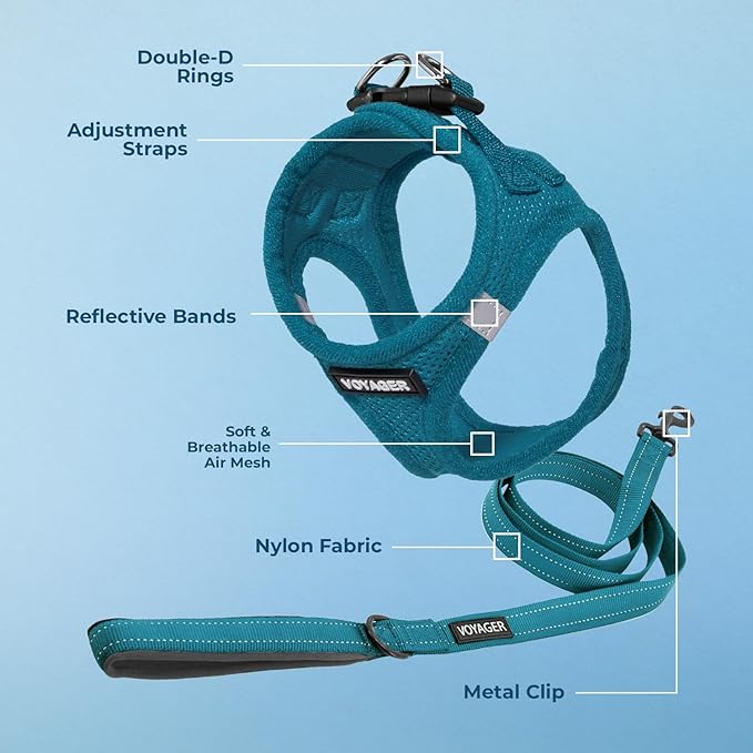 Best Pet Supplies Voyager Step-in Air All Weather Mesh Harness and Reflective Dog 5ft Leash Combo with Neoprene Handle, for Small, Medium and Large Breed Puppies - Set (Turquoise), Large