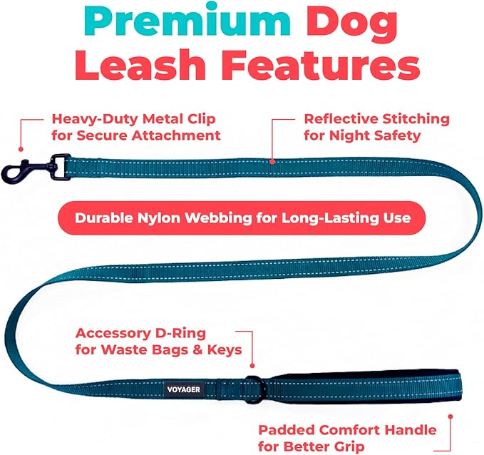 Best Pet Supplies Voyager Reflective Dog Leash or Collar with Neoprene Handle, for Small, Medium, and Large Breed Puppies, Cute and Heavy Duty for Walking, Running and Training - Blue (Leash), M