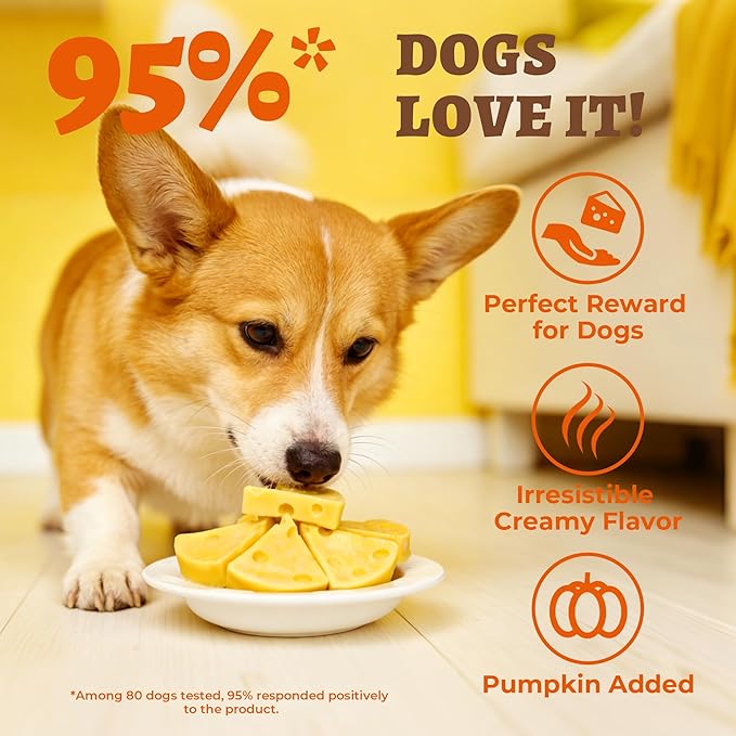 14.1oz Pumpkin Cheese Dog Treats - High-Protein Cheese Treats for Digestive Health & Calcium Support - Natural Chewy Puppy Training Snacks