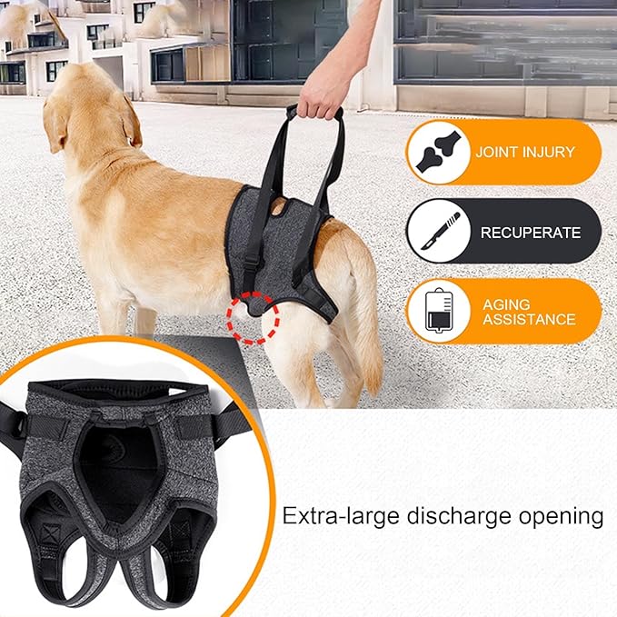 Ldabrye Practical Dog Carrying Harness Slide for Rear Legs Assistance and for Small Mediums Large Dog Daily Casual