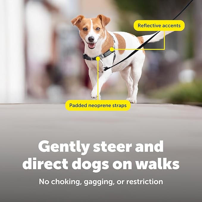 PetSafe Deluxe Easy Walk Harness - Trainer-Trusted Dog Chest Harness with Breathable Martingale Loop Design - Helps Stop Pulling with No Choking & Gagging - Small - Apple