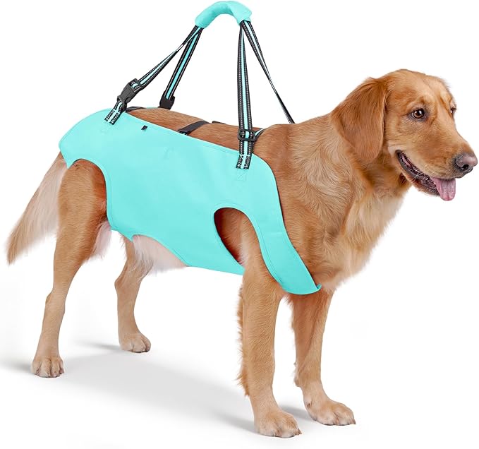 Mayerzon Dog Full Body Lift Harness, Support Sling Carrier for Senior Disabled Dogs, Mobility Aid for Front Hind Leg Joint Injury, Assists Walking Hiking Stairs, Soft Handle Backpack, Reflective Strap