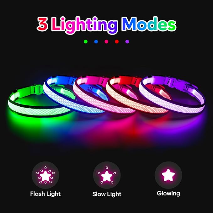 Flashseen LED Dog Collar, Light Up Dog Collar USB Rechargeable, Brightest Dog Lights for Night Walking, Adjustable Dog Collar Light for Dog Safety (Red, Large)