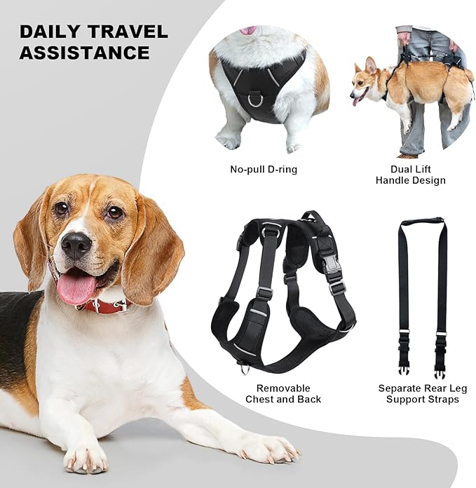 Dog Lift Harness, Dog Lift Sling Carrier with Handle & Shoulder Sling, Support Harness for Rear Back Legs Helps,Disabled,Arthritis,Joint Injuries,Paralysis Up Stairs（Black,Extra Large）