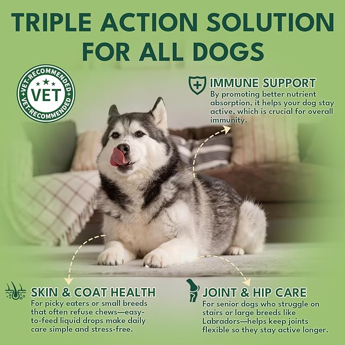 Liquid Collagen for Dogs, Natural Dog Collagen for Skin & Coat Support, Immune Support, Joint & Mobility Care with MSM, Middle-Aged and Older Dogs (Bacon Flavor - 60ml 2 Pack)