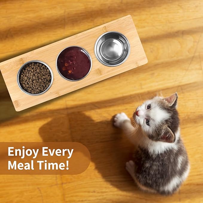 Elevated Cat Bowls, Raised Cat Food Bowls, 15°Tilted Stainless Steel Cat Bowls for Indoor Cats, Anti Vomit, Bamboo, Stand with 3 Feeder Bowls for Cats and Puppy