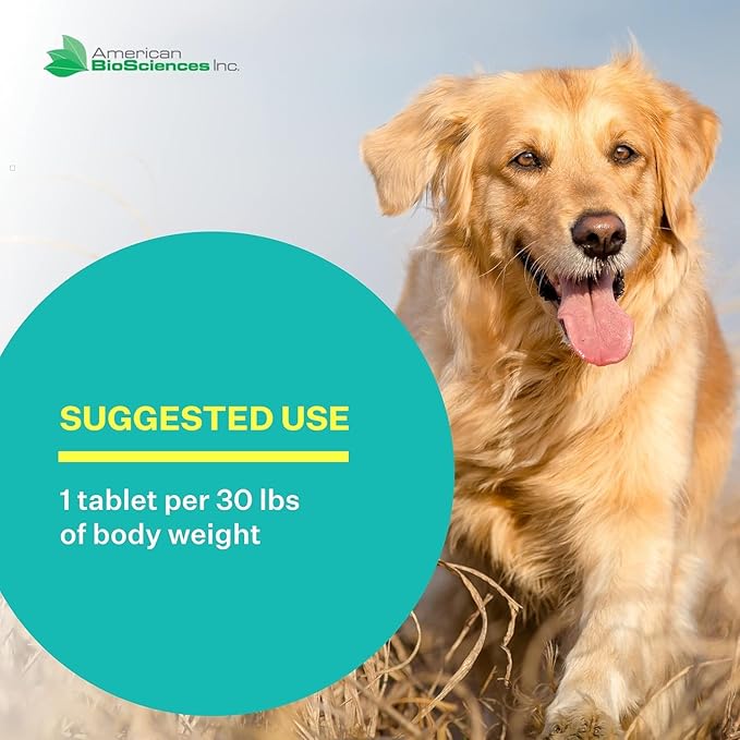 American BioSciences DGP, All-Natural Joint Supplement for Dogs - Joint Support with Turmeric, Boswellia Extract & More - Quick Effect for Pet Mobility Support - 180 Chewable Tablets (Pack of 3)
