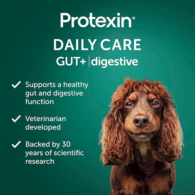 Protexin Daily Care Gut+ Digestive | 60 Dog Chews, Chicken and Carob Flavor Dog Supplement | Probiotics for Dogs, Dog Postbiotics
