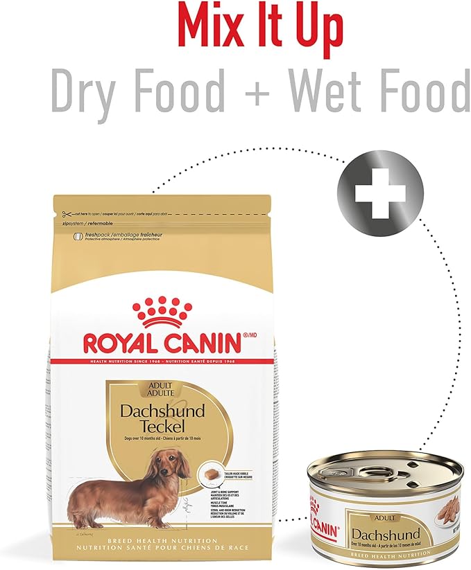 Royal Canin Breed Health Nutrition Dachshund Adult Dry Dog Food, 2.5 lb Bag