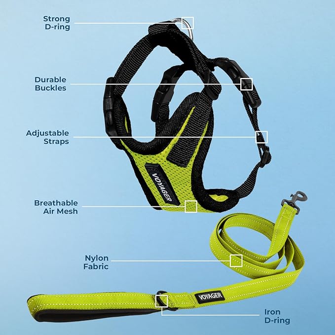 Best Pet Supplies Voyager Step-in Lock Pet Harness w Reflective Pet Leash Combo Set with Neoprene Handle 5ft - Supports Small, Medium and Large Breed Puppies/Cats - Lime Green/Black Trim Set, L