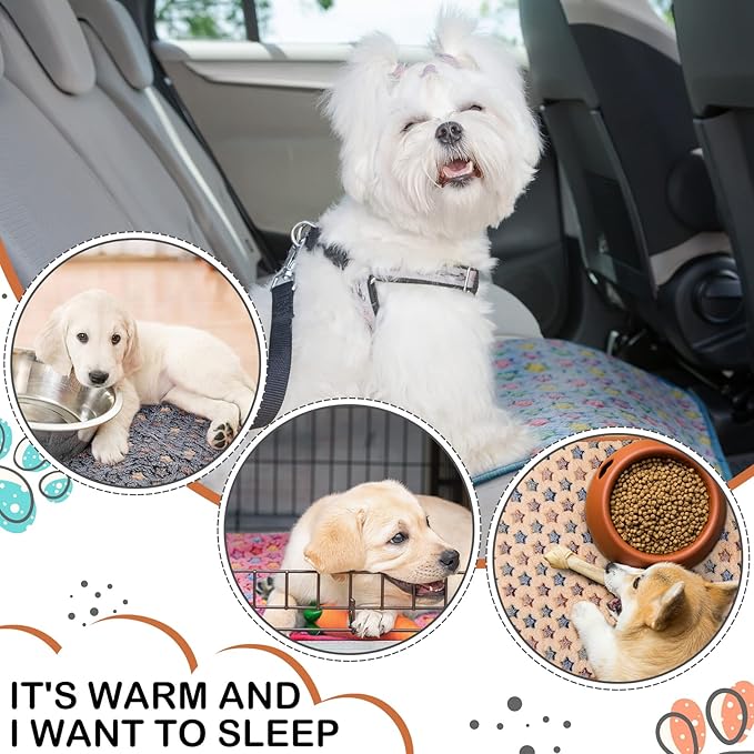 Reginary 4 Pcs Waterproof Guinea Pig Blankets Washable Small Animal Fleece Bedding Guinea Pig Cage Liners Reusable Training Pads Pet Pee Pad Sleep Mat for Hamster(Star Pattern,28 x 56 Inch)