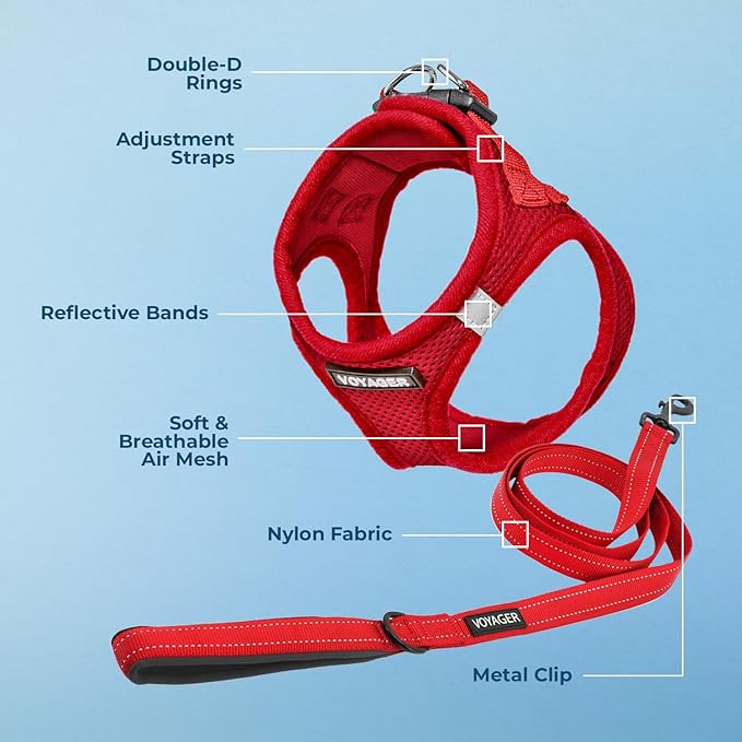 Best Pet Supplies Voyager Step-in Air All Weather Mesh Harness and Reflective Dog 5ft Leash Combo with Neoprene Handle, for Small, Medium and Large Breed Puppies - Set (Red), X-Small