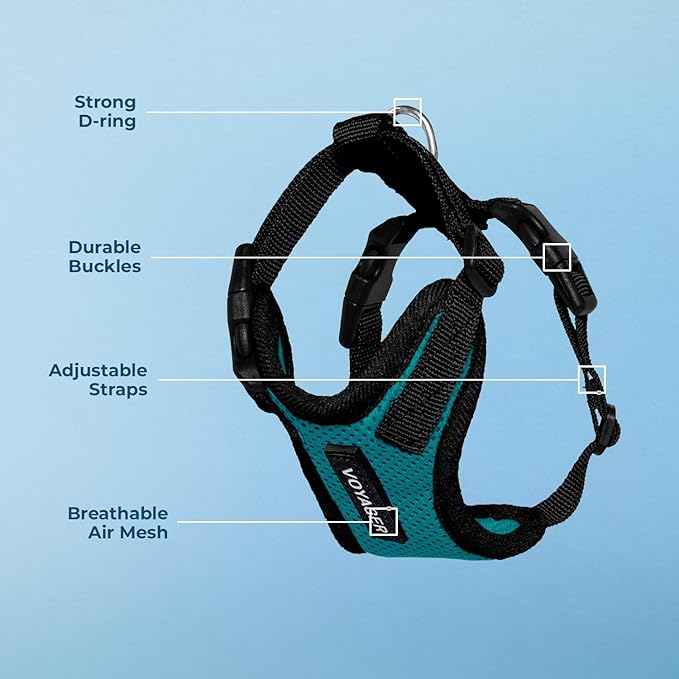Voyager Step-in Pet Harness - All Weather Mesh, Adjustable Step in Harness for Cats and Dogs by Best Pet Supplies - Turquoise/Black Trim, L