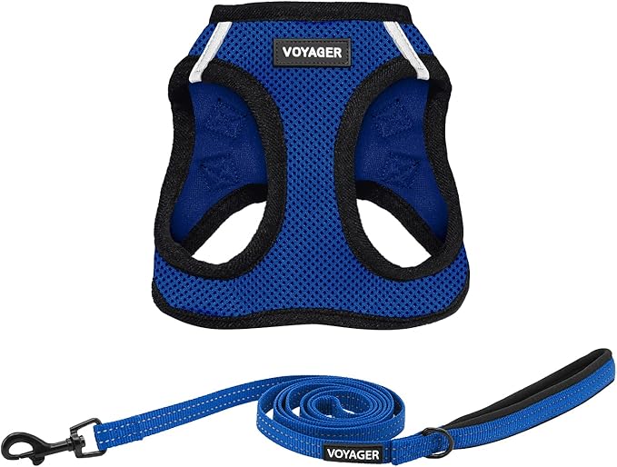 Voyager Step-in Air All Weather Mesh Harness and Reflective Dog 5 ft Leash Combo with Neoprene Handle, for Small, Medium and Large Breed Puppies by Best Pet Supplies - Blue, X-Large